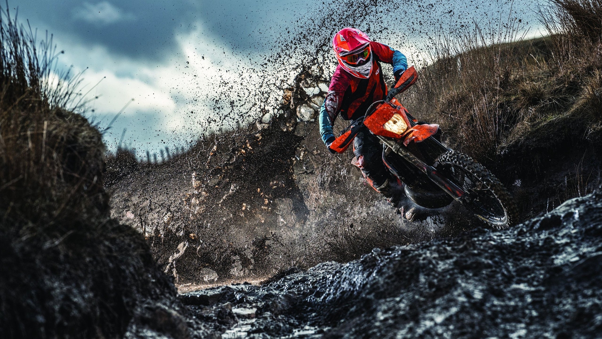 尼克斯第二节得分暴涨打出绝佳开局，尼克斯首轮前两场比赛门票售罄