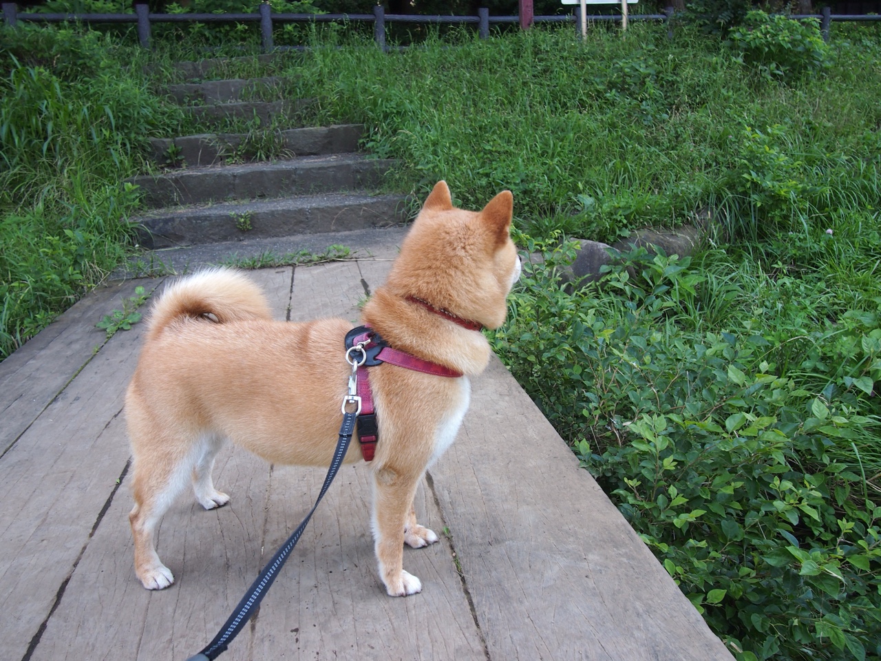 开云官方网站-_经典困境：逆境中的决断瞬间感动球迷_，逆境中的励志短语