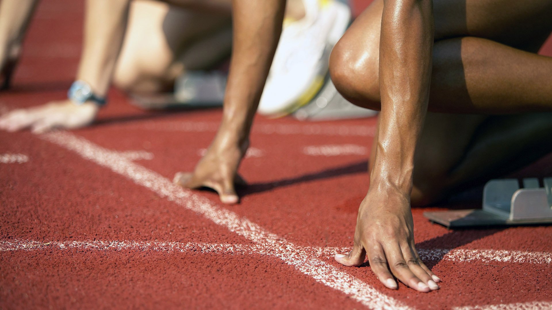 开云体育官网登入-蛙泳赛场荷兰选手技压群雄，荷兰蛙泳运动员